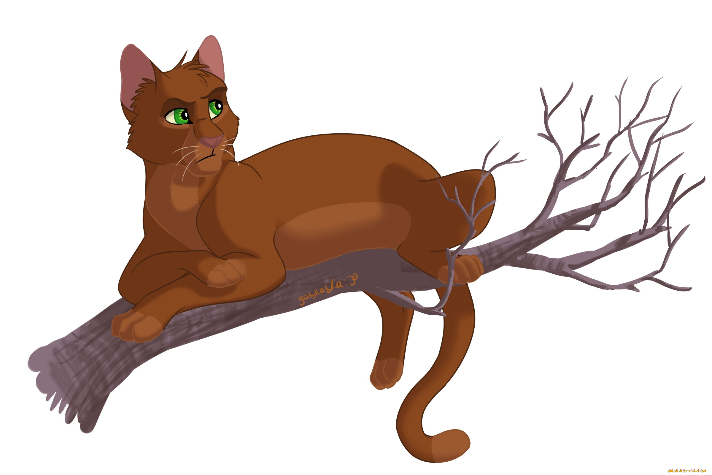  ,  , animals, , , 